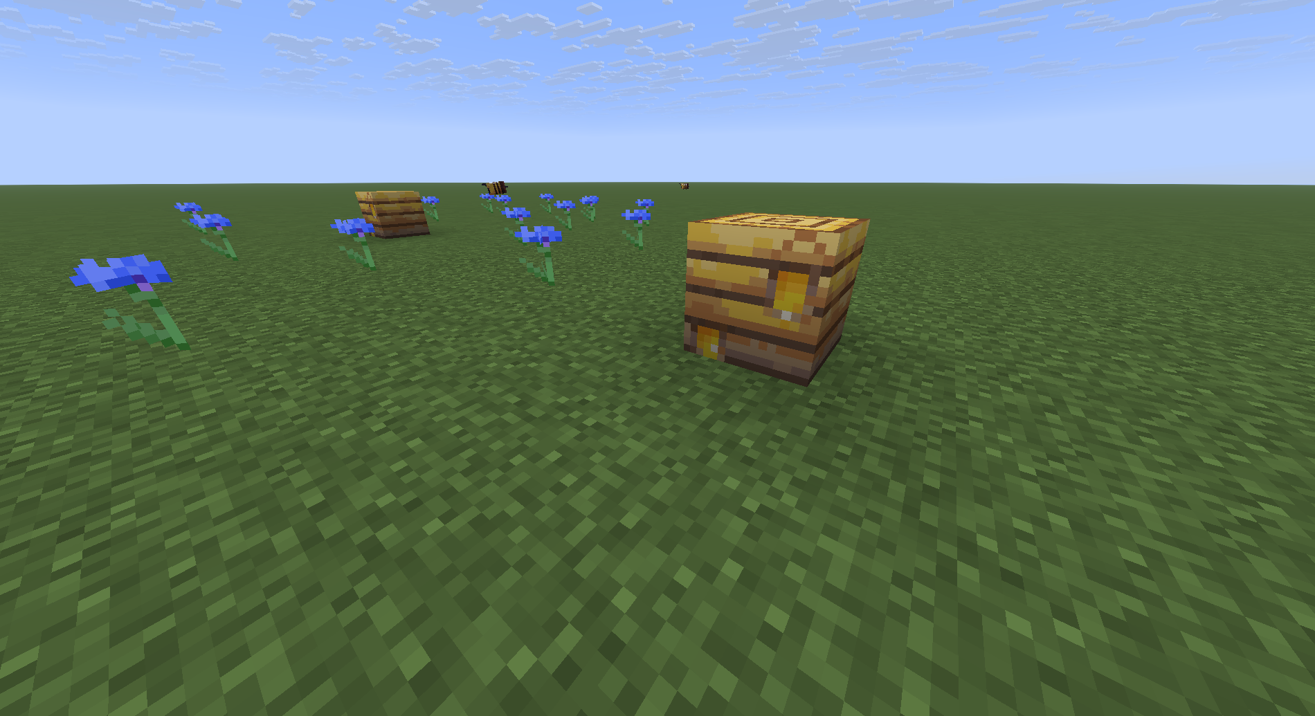 Waxing Transformation